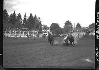 Barney Willis Steer Wrestling