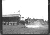 Lee Smith off Bareback Riding