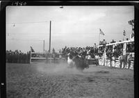 Jack Couch off #45 Bull