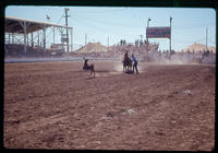 Harry Neitz Calf roping