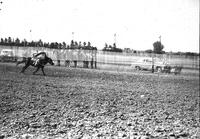 [Unidentified Cowgirl doing Nancy Bragg back bend atop galloping horse]