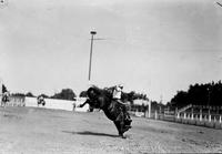 Vic Schwartz on "Billy the Kid" Colo. State Fair Pueblo