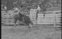 Rusty O'Donnell on Bull # 20K