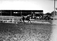 [Unidentified Cowboy doing Billy Keen Drag in front of fence and grandstand]