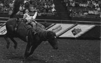 Unidentified rider on unknown mount