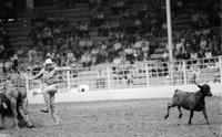 Butch Bode Calf roping