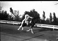 [Unidentified cowboy doing crupper roll]