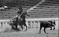 Bruce Murphy Calf roping