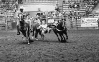 Jody Stamper Steer wrestling