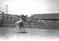 Chester Higman Riding Wild Steer North Platte Round-Up