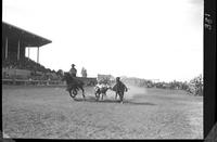 Steve Heacock Steer Wrestling