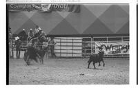 Joe Beaver Calf roping, 8.1 Sec