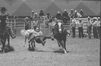 Sam Sneed Steer wrestling