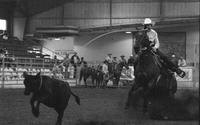 Carl Clapp Calf roping