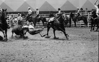 Paul Luchsinger Steer wrestling