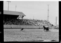 Merrill Hanson Calf Roping