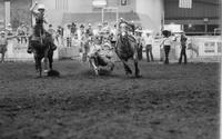 Lonnie Cantrell Steer wrestling, 4.7 Sec