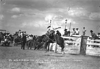 Al Wilkinson on "He'll Do" Sheridan, Wyo. Rodeo