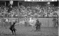 Dewayne Spees Calf roping