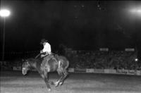 Unidentified rider on unknown Bronc