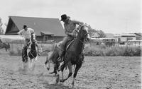 Unidentified Team ropers