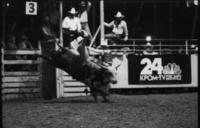 Gary Gault on Bull #95