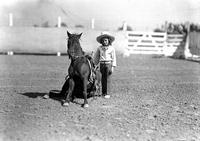 [Little girl standing beside sitting pony]