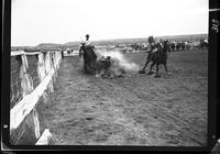 Vern Castro Steer Wrestling