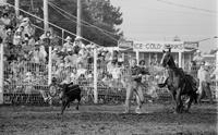 Paul Duncan Calf roping