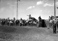 [Unidentified Cowboy riding Saddle Bronc as others look on from chutes]