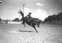 Bill Hancock on "Smokey" Colo. State Fair, Pueblo