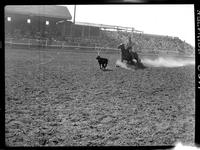 Stan Johnson Calf Roping