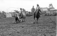 Unidentified Team ropers