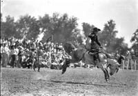 [Possibly Margie Greenough saddle bronc riding]