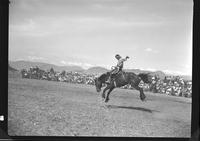 Gene Curtis on Calgery