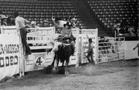 Donny Davis on Scrambler