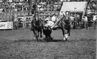 J.D. Tadlock Jr. Steer wrestling