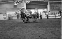 Bill Duvall Steer wrestling