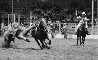 Bobby Bean Steer wrestling