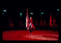 Beverly Steiner, Flag bearer