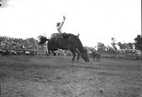 [Unidentified cowboy riding a Bronc which is completely airborne]