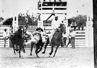 Rube Roberts Bulldogging