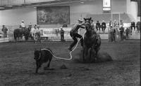 Bill Zipf Calf roping