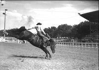 [Tom Knight riding and staying with his bronc "Grey dog" in front of stands]