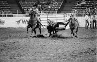 Brad Lahman Steer wrestling