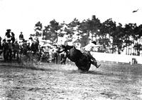 John Burnett Takes Bad Spill at the Fla. Cow Capital Round Up, Kissimmee