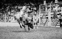 Blake Antle on Bull #F02