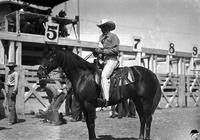 [Unidentified Cowboy in narrow striped pants on horse with thick mane; chutes and cowboys behind]