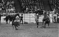 Gaylon Georges Calf roping