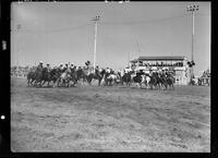 Salem Saddle Club